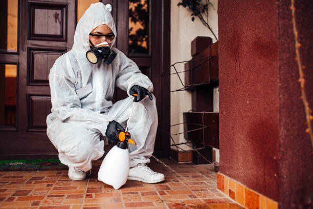 Reliable Wasp Removal contractor in Brewster Hill, NY by Show Me Pest Control